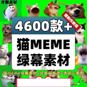 猫meme绿幕素材猫咪跳舞抖音B站喵么么短视频制作