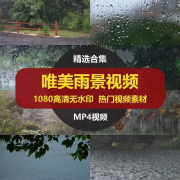 唯美意境下雨天空树叶水滴水珠雨中屋檐伤感短
